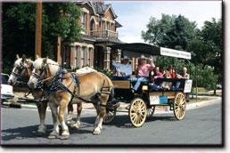 Carriage Ride